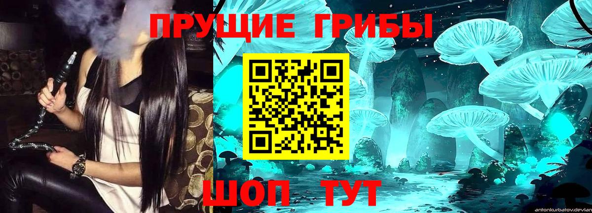 Озёры  Псилоцибиновые грибы мухоморы  Вход с VPN  купить  цена  Галлюциногенные грибы Psilocybe 